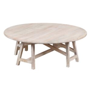 Coastal Mango Wood Coffee Table