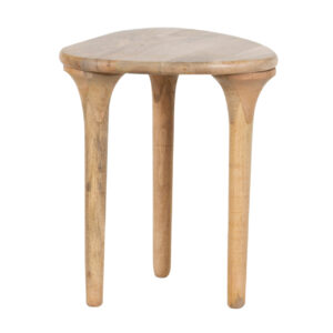 Delargo Mango Wood Side Table